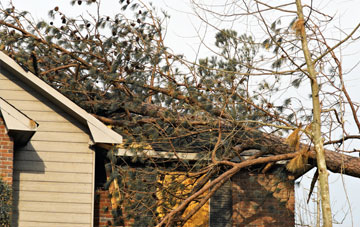emergency roof repair Woodville