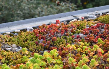 the cost of Woodville green roof installation