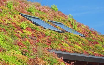 Woodville living roof systems