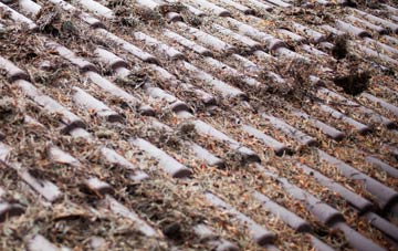 Woodville roof cleaning companies