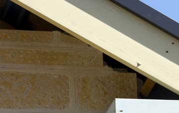 soffit repair Woodville