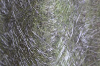 Woodville fibreglass roof work